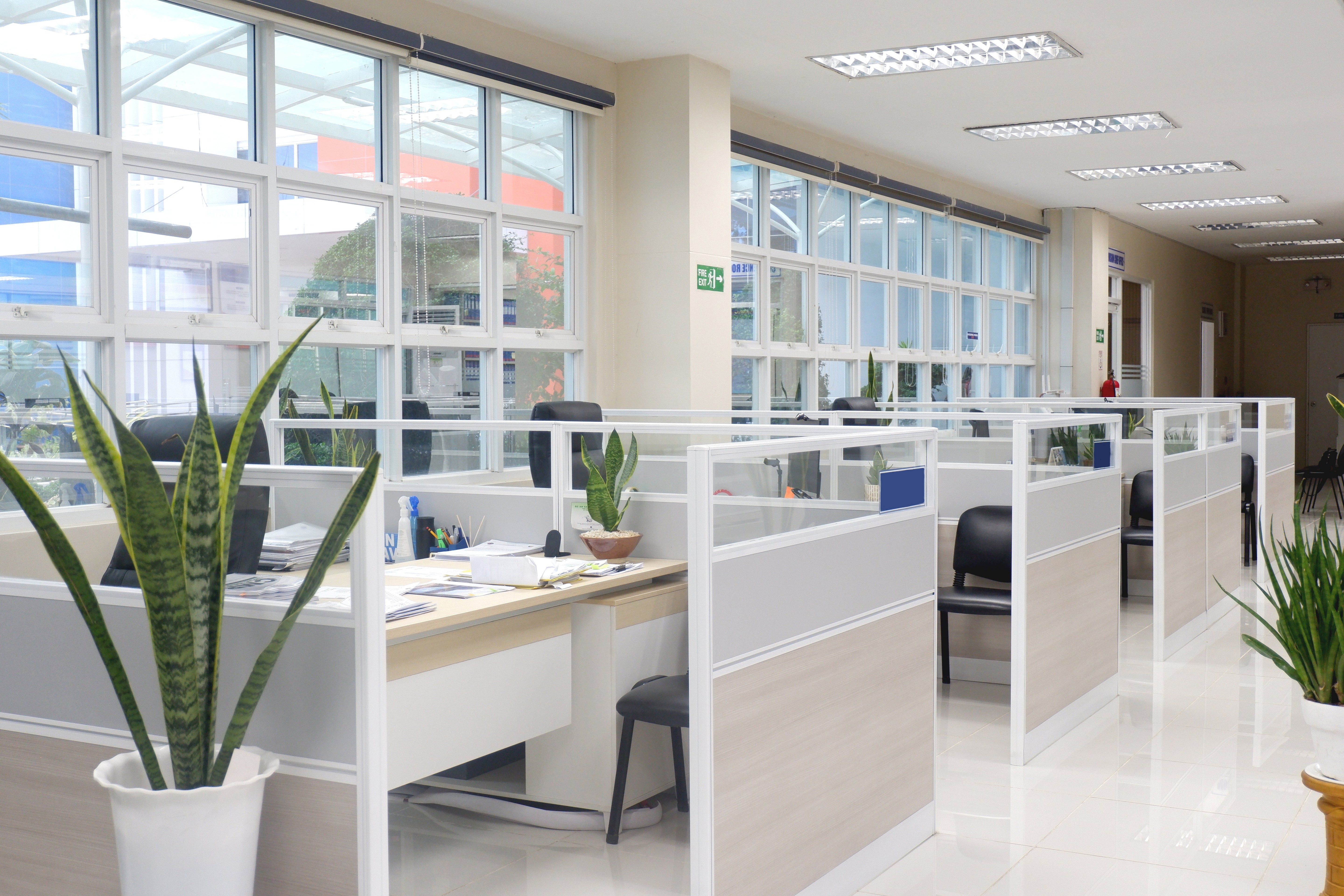 <strong>OFFICE ON THE HILL: </strong>An Elevated Workplace