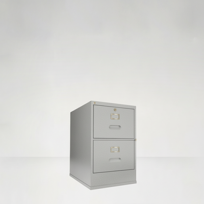 2D File Safe Cabinet