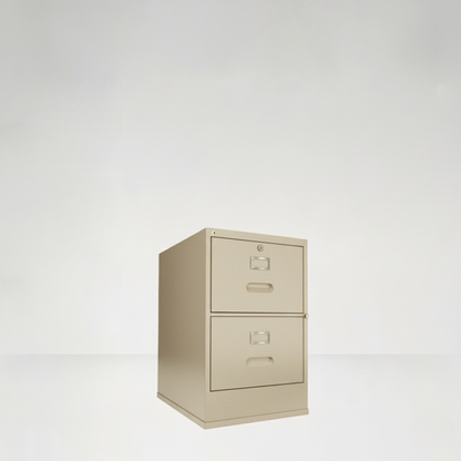 2D File Safe Cabinet