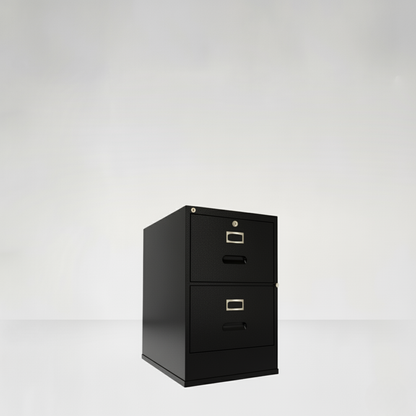 2D File Safe Cabinet